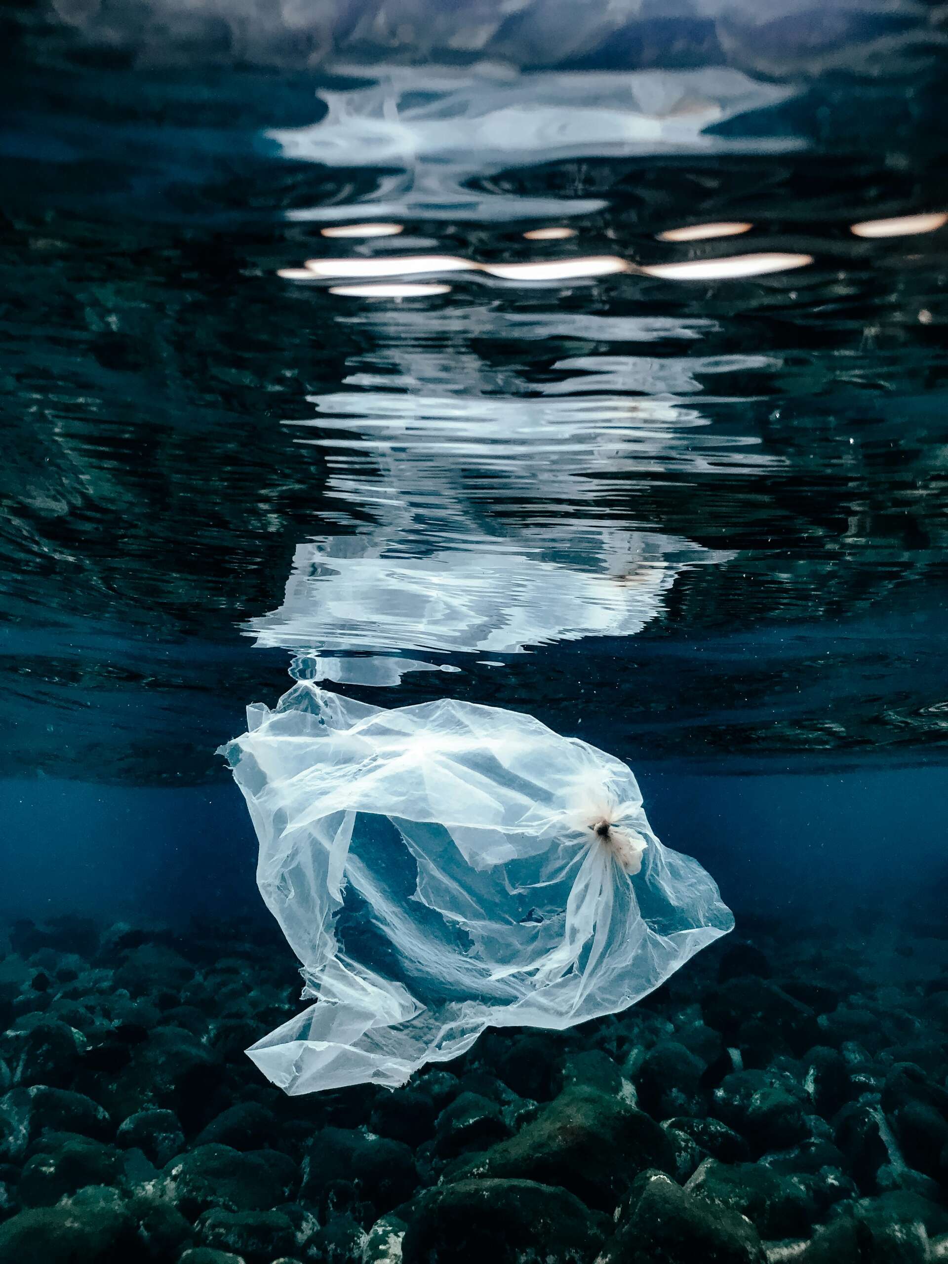 Clear plastic bag drifting underwater above a rocky seabed